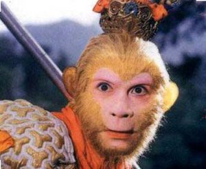 （男）xqhz0010001-相亲互助平台